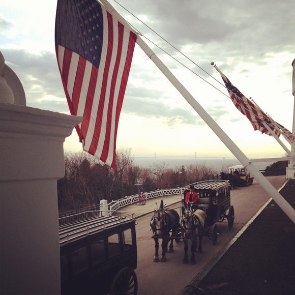 Meet your Posher, Molly - Picture 1 of 1